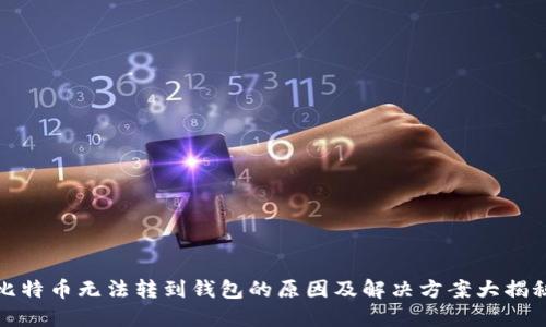 比特币无法转到钱包的原因及解决方案大揭秘