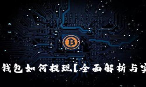 USDT冷钱包如何提现？全面解析与实用指南