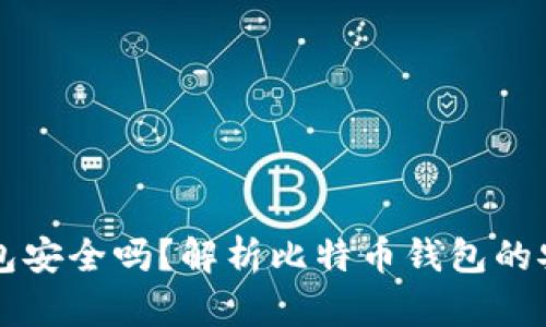 比特币互联网钱包安全吗？解析比特币钱包的安全性与选择指南