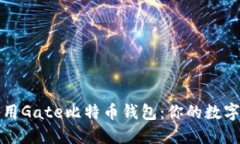 如何选择和使用Gate比特币
