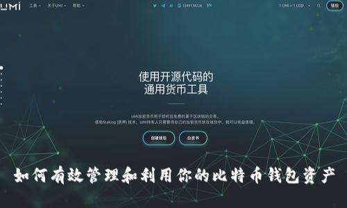 如何有效管理和利用你的比特币钱包资产