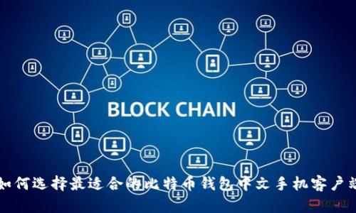 如何选择最适合的比特币钱包中文手机客户端