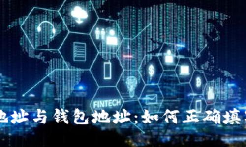比特币地址与钱包地址：如何正确填写与使用