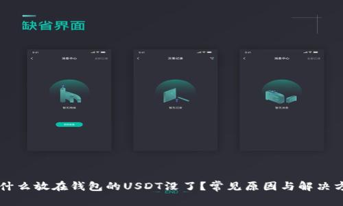 为什么放在钱包的USDT没了？常见原因与解决方法