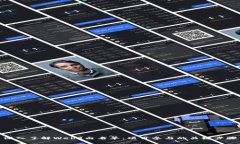 深入了解Web3白名单：项目