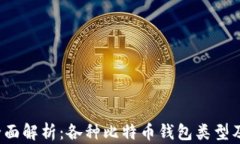 2023年全面解析：各种比特