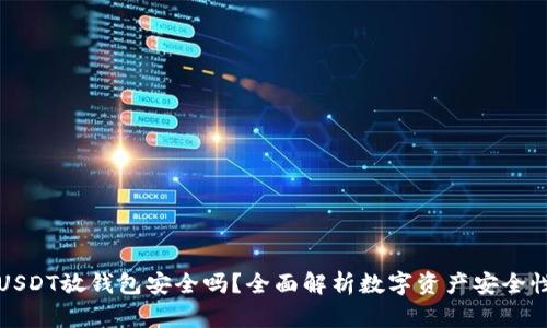 USDT放钱包安全吗？全面解析数字资产安全性