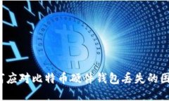 如何应对比特币硬件钱包丢失的困境?